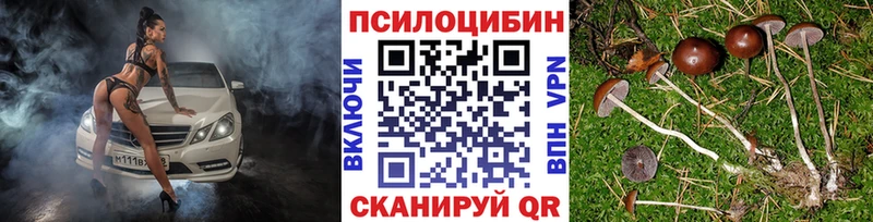 mega зеркало  Байкальск  Псилоцибиновые грибы Psilocybe 