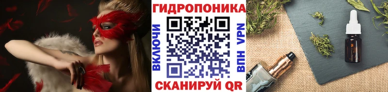 Каннабис индика Байкальск